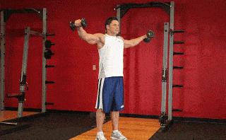 瘦子增重怎么练背部,瘦子增重增肌训练教程哑铃