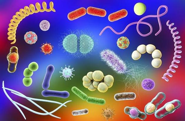 呼吸道感染阿奇霉素和头孢哪个好,阿莫西林和罗红霉素治呼吸道感染