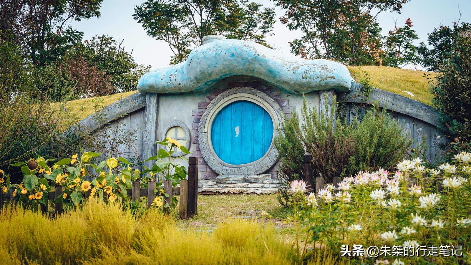 合肥一日游亲子游推荐,合肥一日游亲子游推荐景区