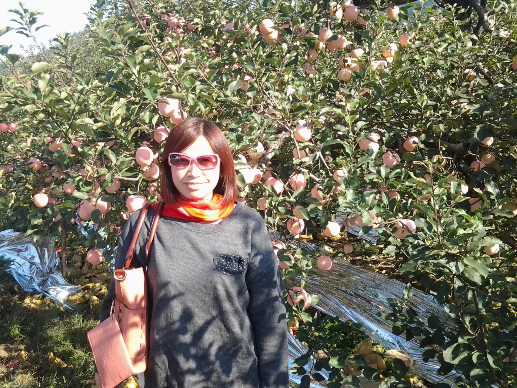 周末邀朋友小聚休闲享受周末,周末三五好友小聚喝茶品美味