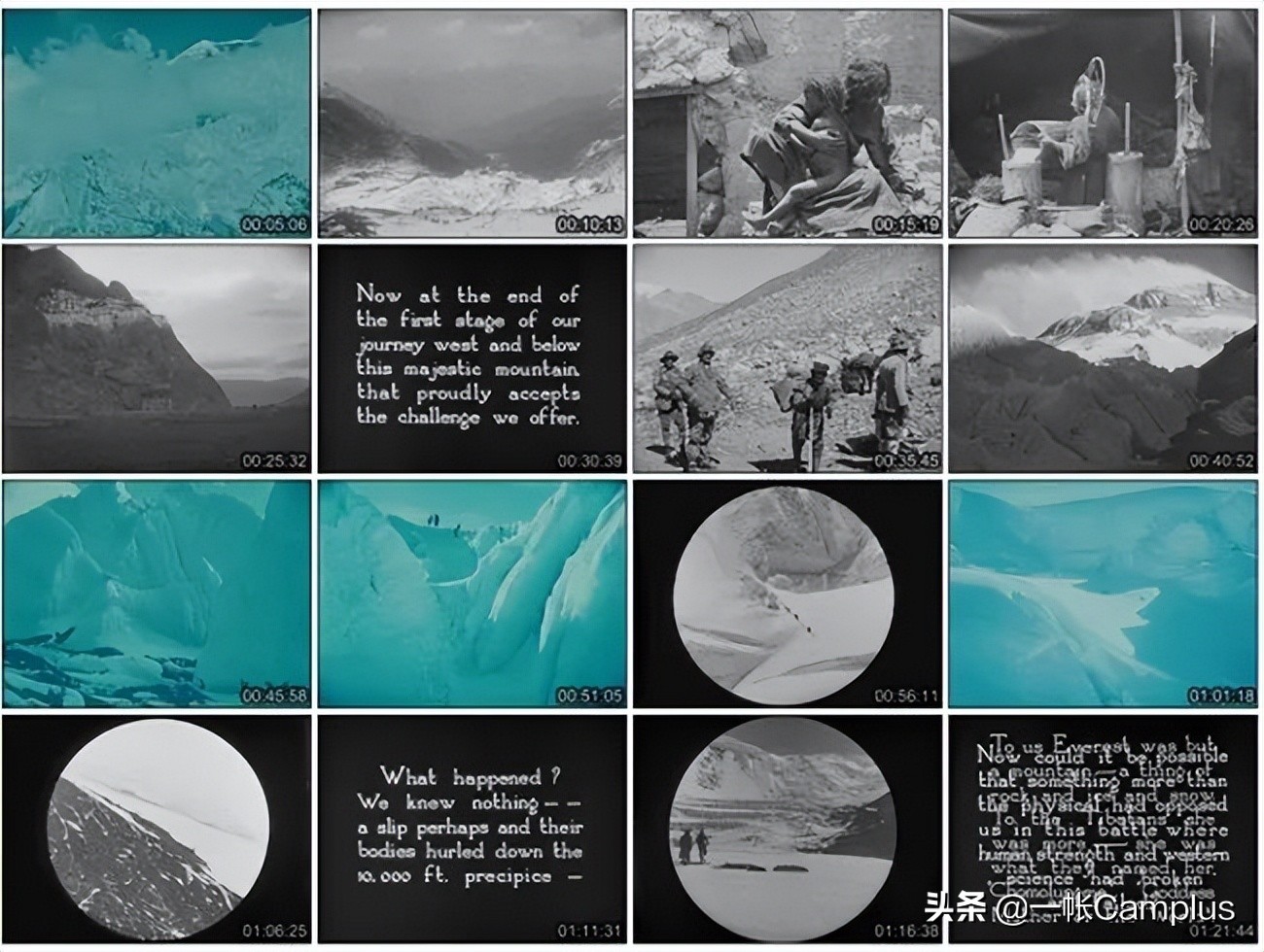 火枫现状,火枫近况