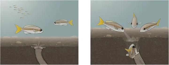 《沙丘》在读者心中留下最深刻印痕的当属气吞山河的沙漠怪物沙虫