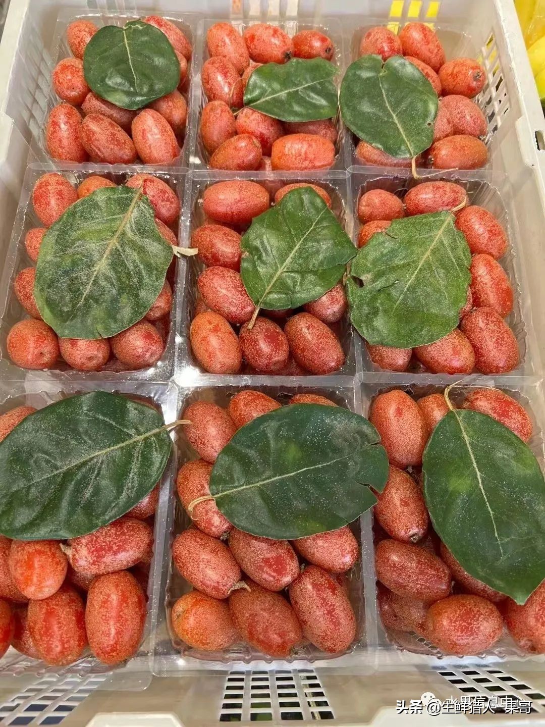 #奇异水果知多少#椰柿、黄晶果、冰淇淋果、巧克力布丁果等