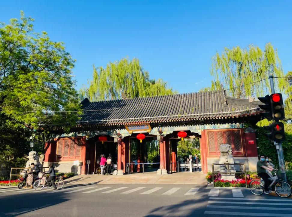 恢复高考第一年文科女状元,恢复高考后第一女状元