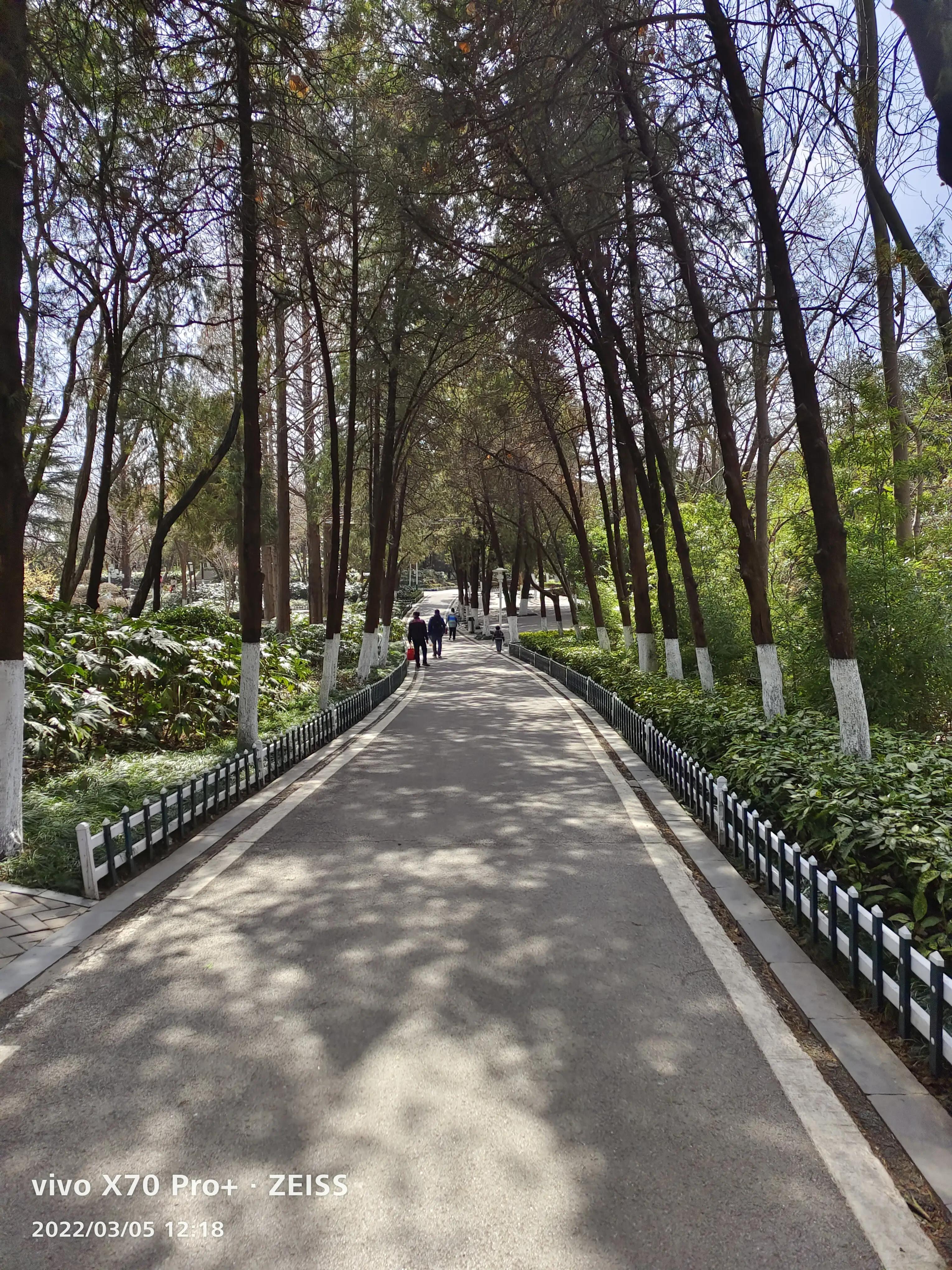 相山公园一日游,值得一去的山体景观公园