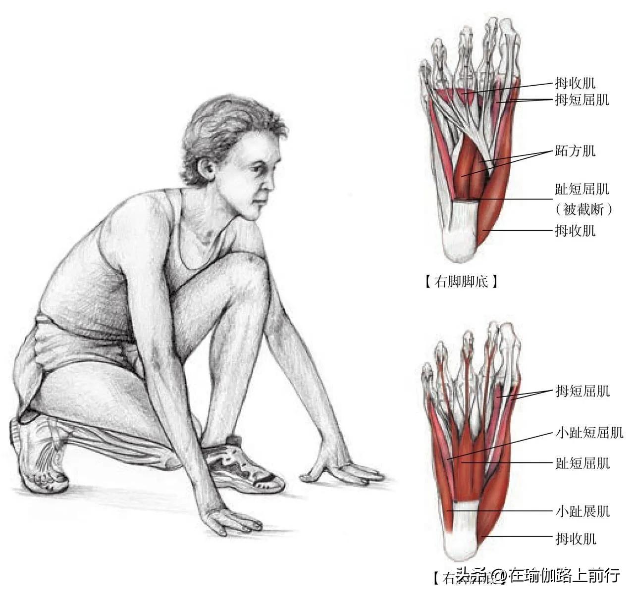 胫束拉伸的正确步骤,髌胫束拉伸