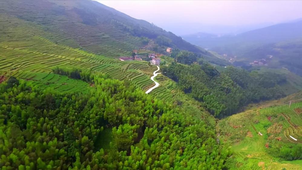 福建齐天大圣的来历,福建发现齐天大圣墓