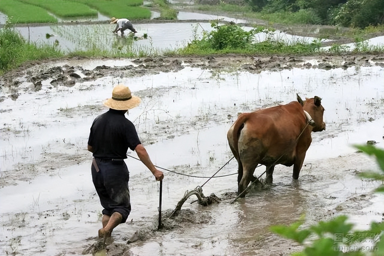 医学博士去世后捐350万遗产,44岁医学博士去世父亲捐出350万