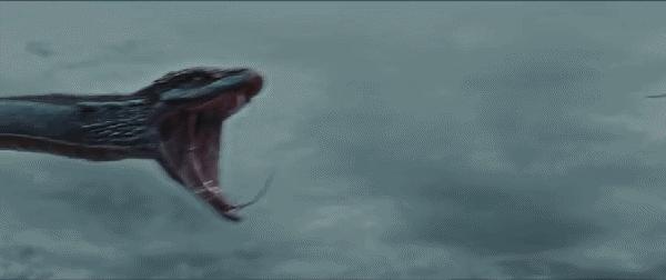 当年人蛇大战电影用了多少蛇 (人蛇大战最新一期)