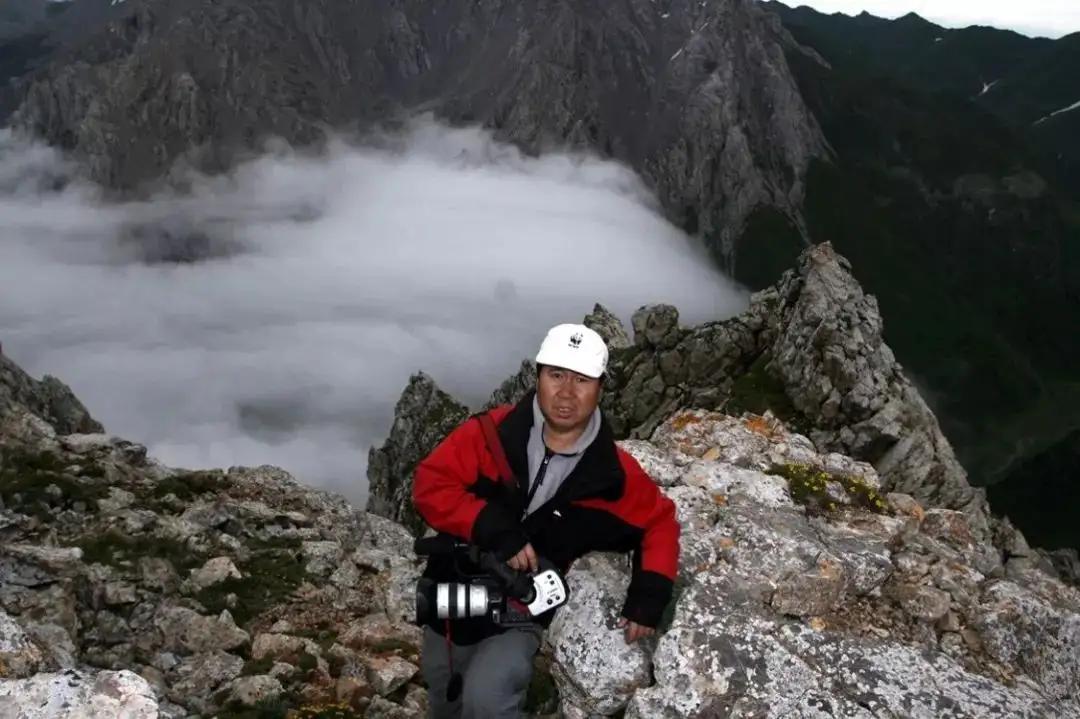 罕见奇怪的动物之伊犁鼠兔,伊犁鼠兔有多稀少