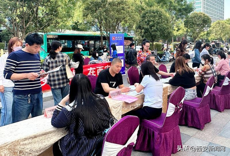 公共就业宣传活动,街道加大就业创业宣传