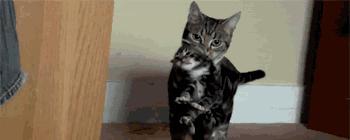 日军日记：*安妇慰**不服从管教，我很愤怒，用*刀刺**插入她的*体下**