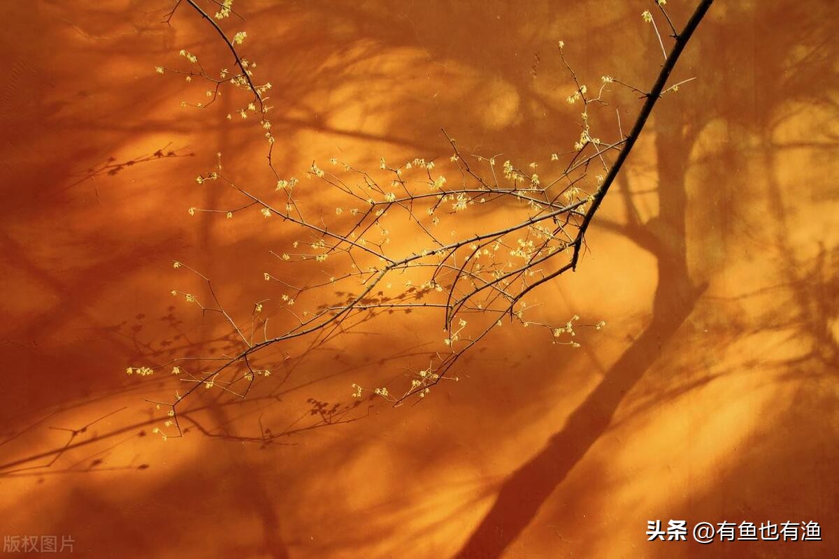 股票锤子线买卖技巧,低开高走锤子线买入法图解