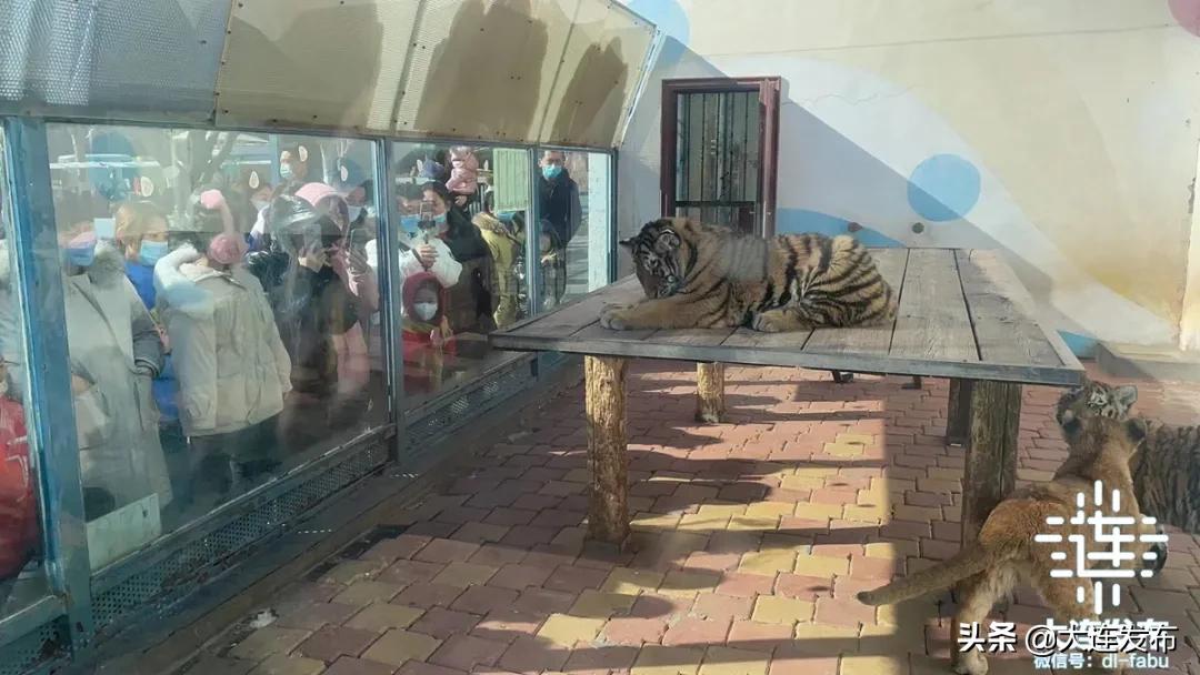 7天7.48亿，↑54.55%！