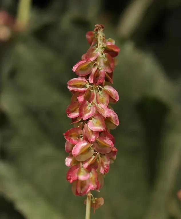 给你全部的温情与热爱,想给你全部的温情和热爱