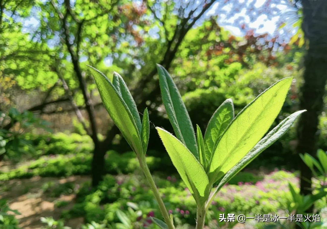 随笔世间百态,一句时光随笔