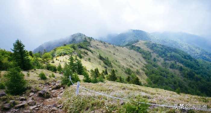疫情期间买冰箱好还是冰柜好,疫情期间买冰箱好还是买冰柜好