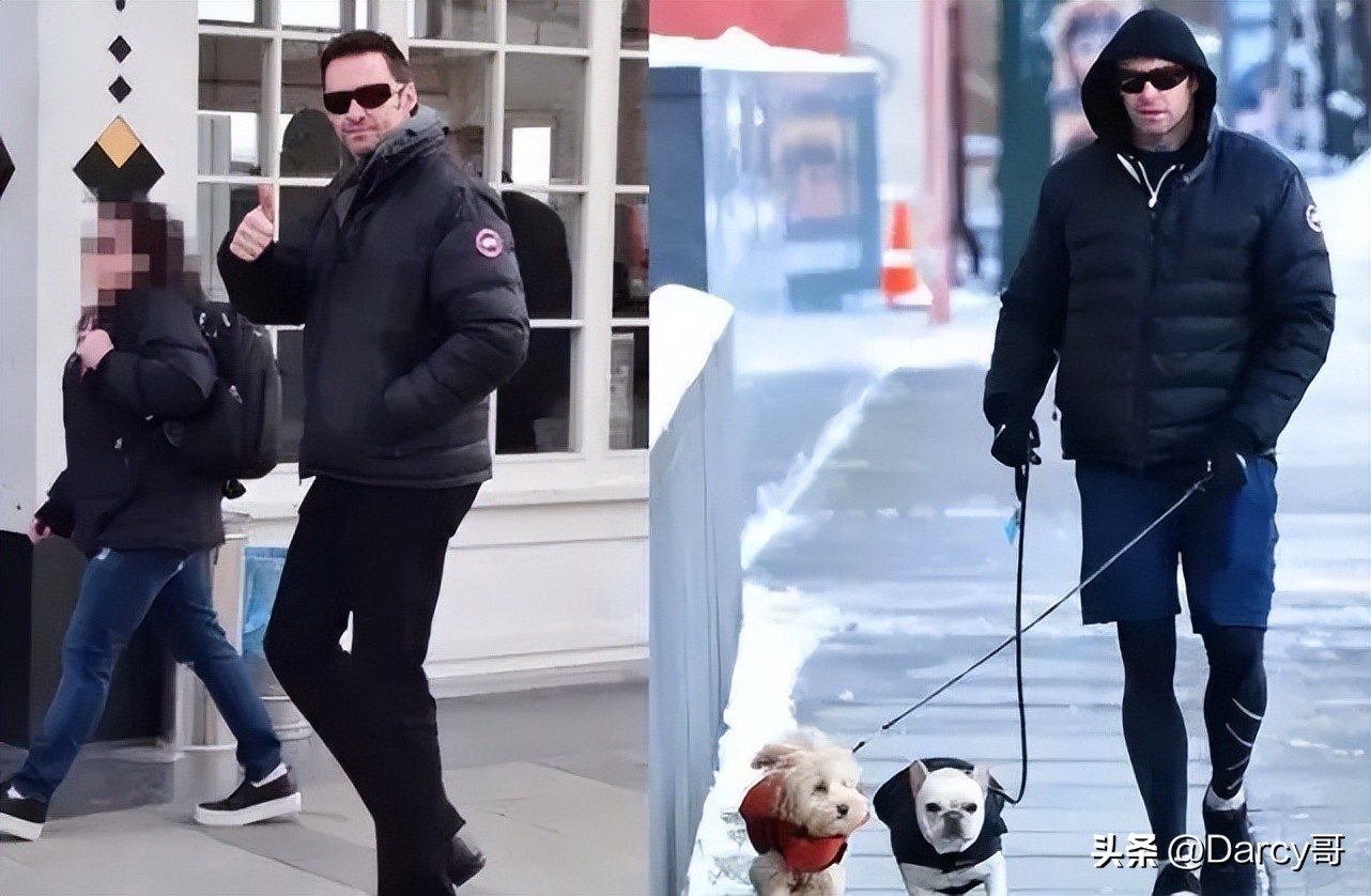 加拿大鹅事件背后的傲慢与偏见,加拿大鹅和北面哪个更烂大街