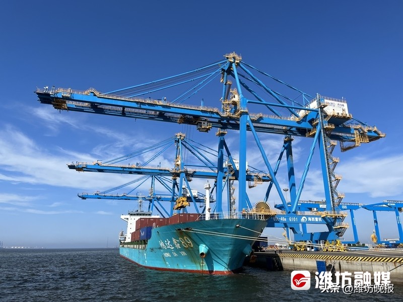 潍坊山东成绩,山东港口集团年度业绩