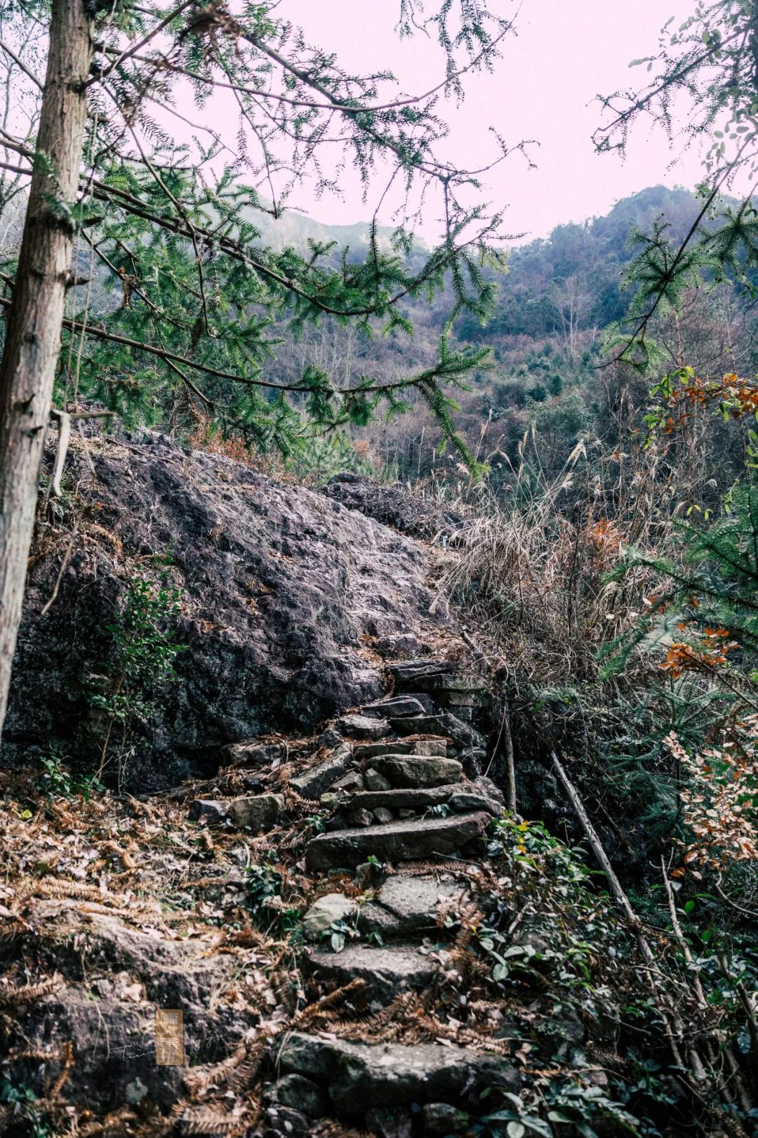 鍏泜绉樺,浠欏眳鍏泜绉樺