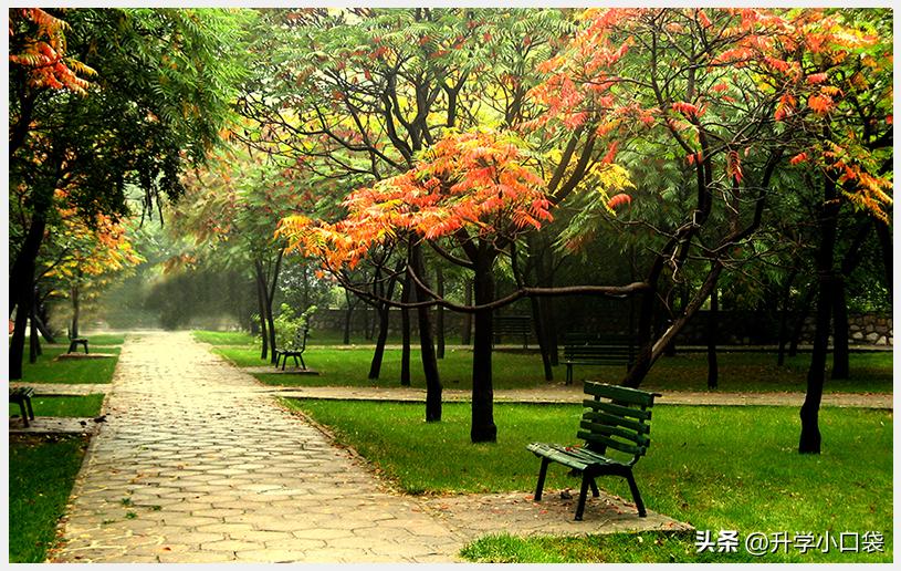 中北大学427名本科生获得2023年“推免”资格，保研率接近5%