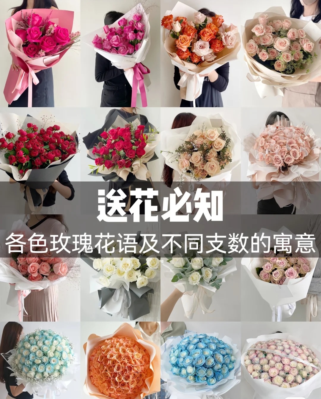 玫瑰花束支数花语,玫瑰花语每朵代表什么图片和名字