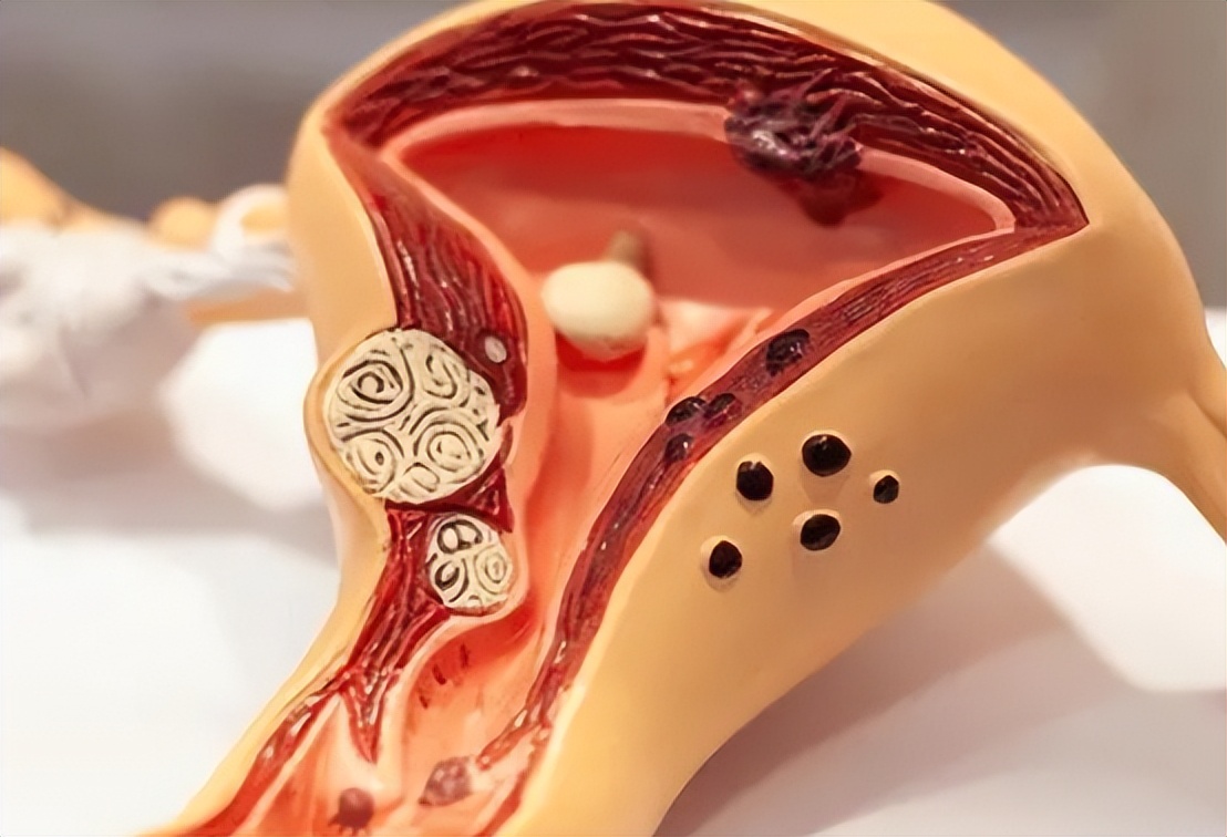 生育功能,生育功能强的男性有哪些特征