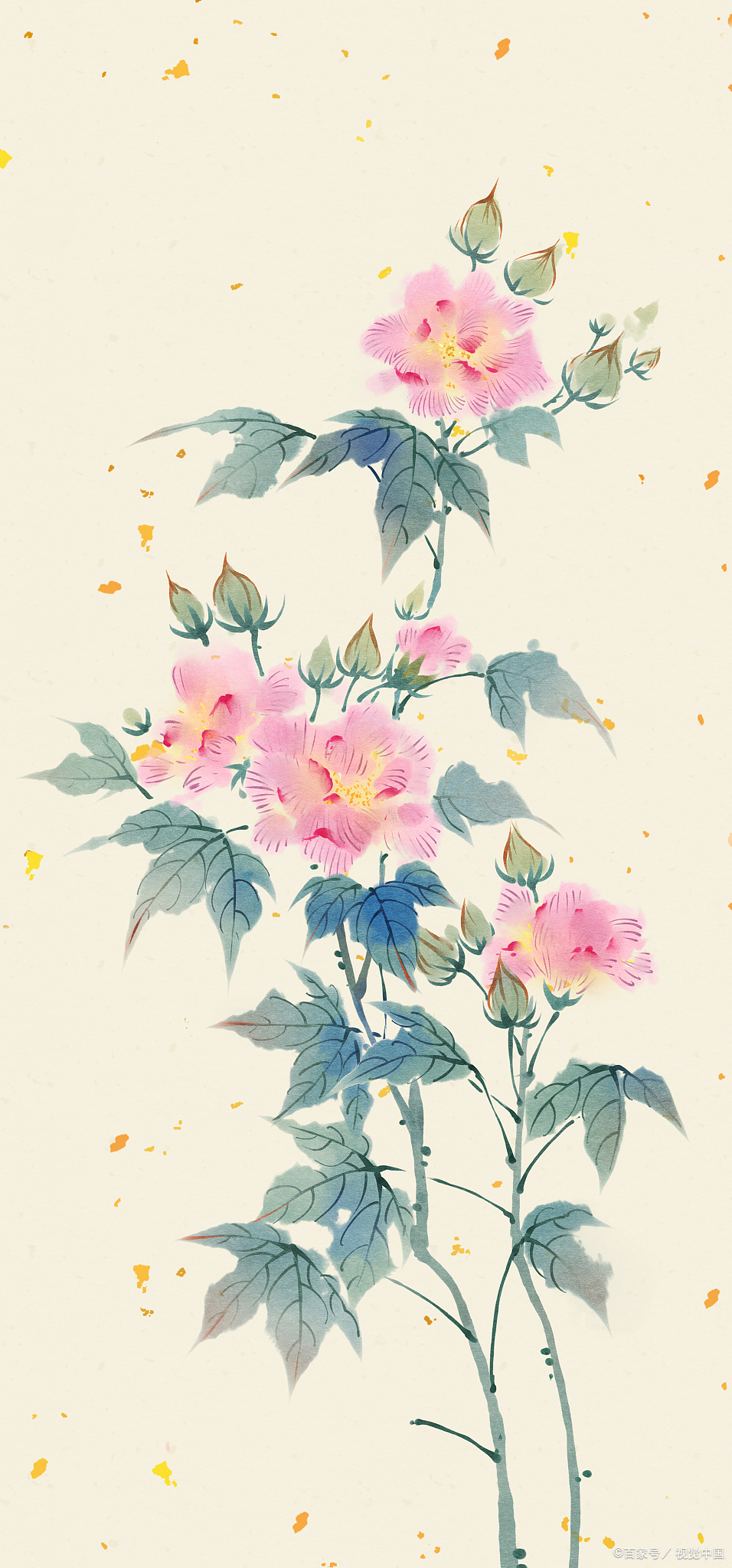 朝见花开暮见落，人生反覆亦相若——木槿，生如夏花，朝开暮落