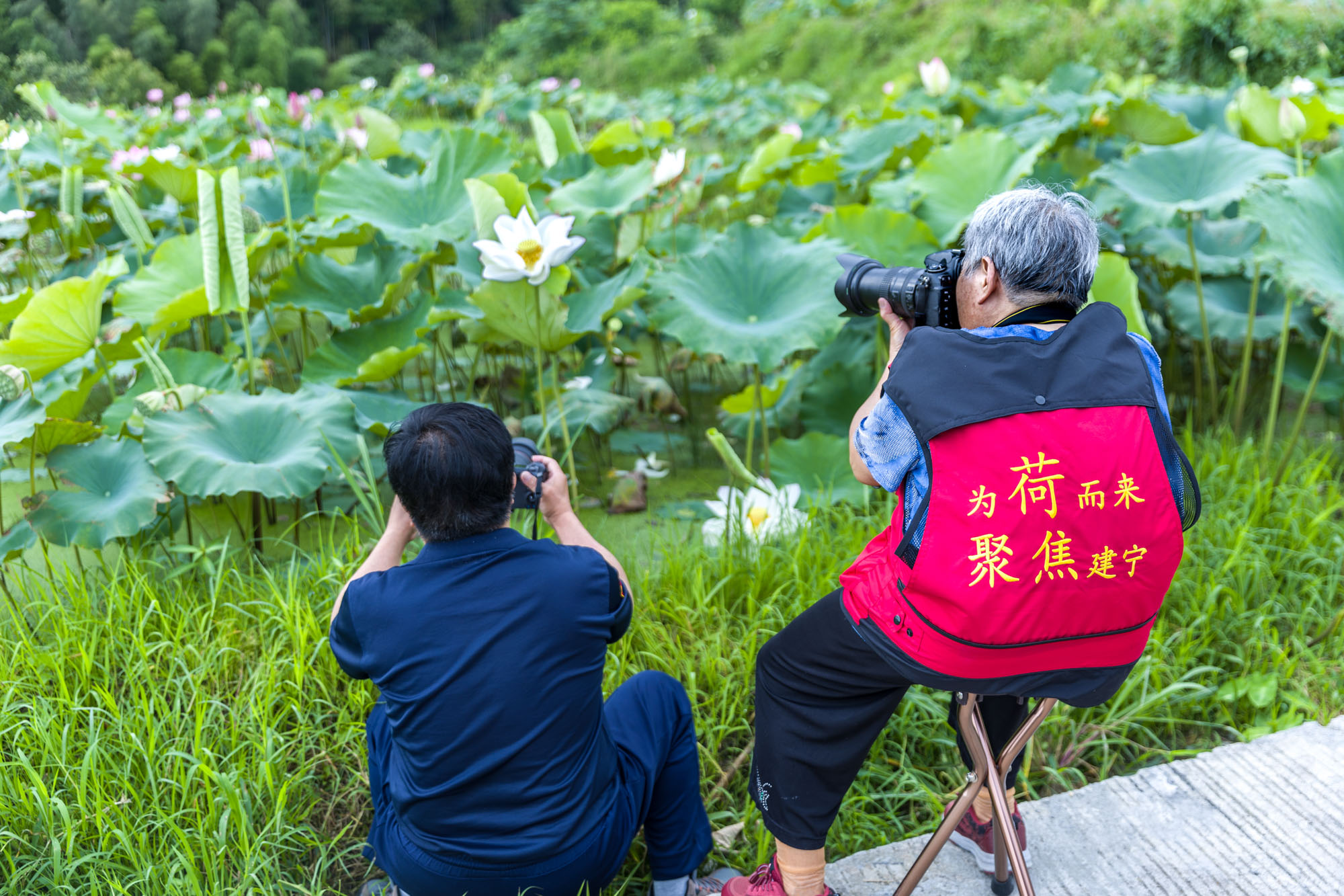 “同话沪明情、四季游三明”来自上海一位老摄影家的感人瞬间