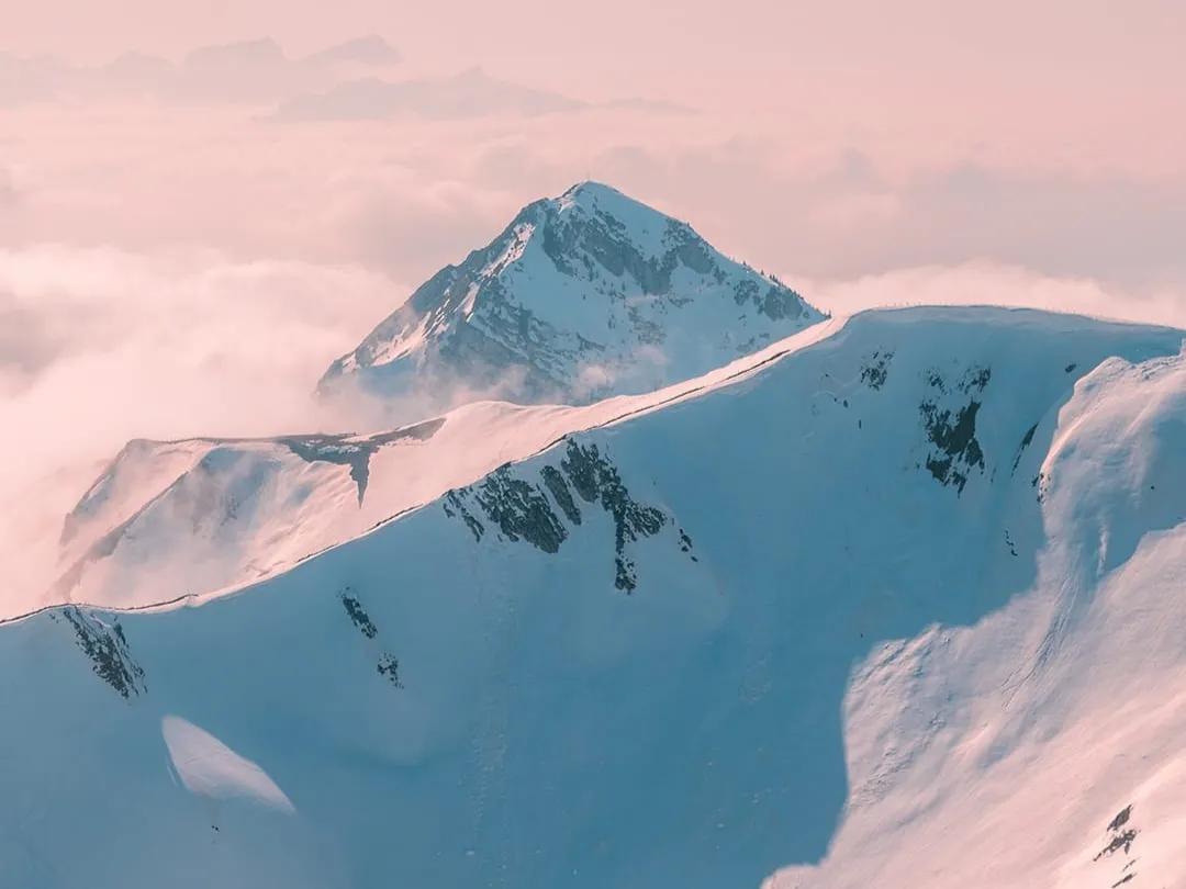 零基础小白逆袭成创业达人？付费课程到底值不值得购买？