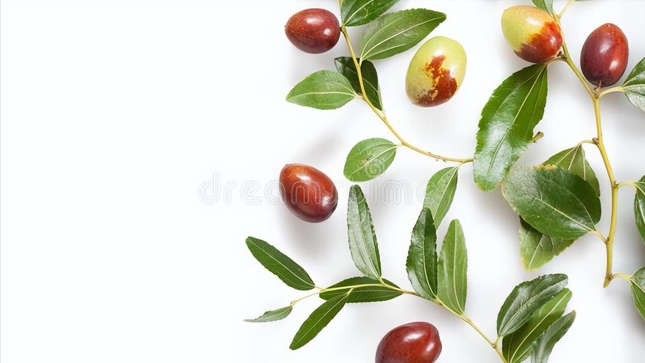 中医详解失眠妙方：酸枣仁汤