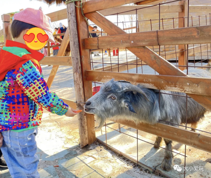 最适合遛娃的十大公园,西安超适合遛娃的10大公园