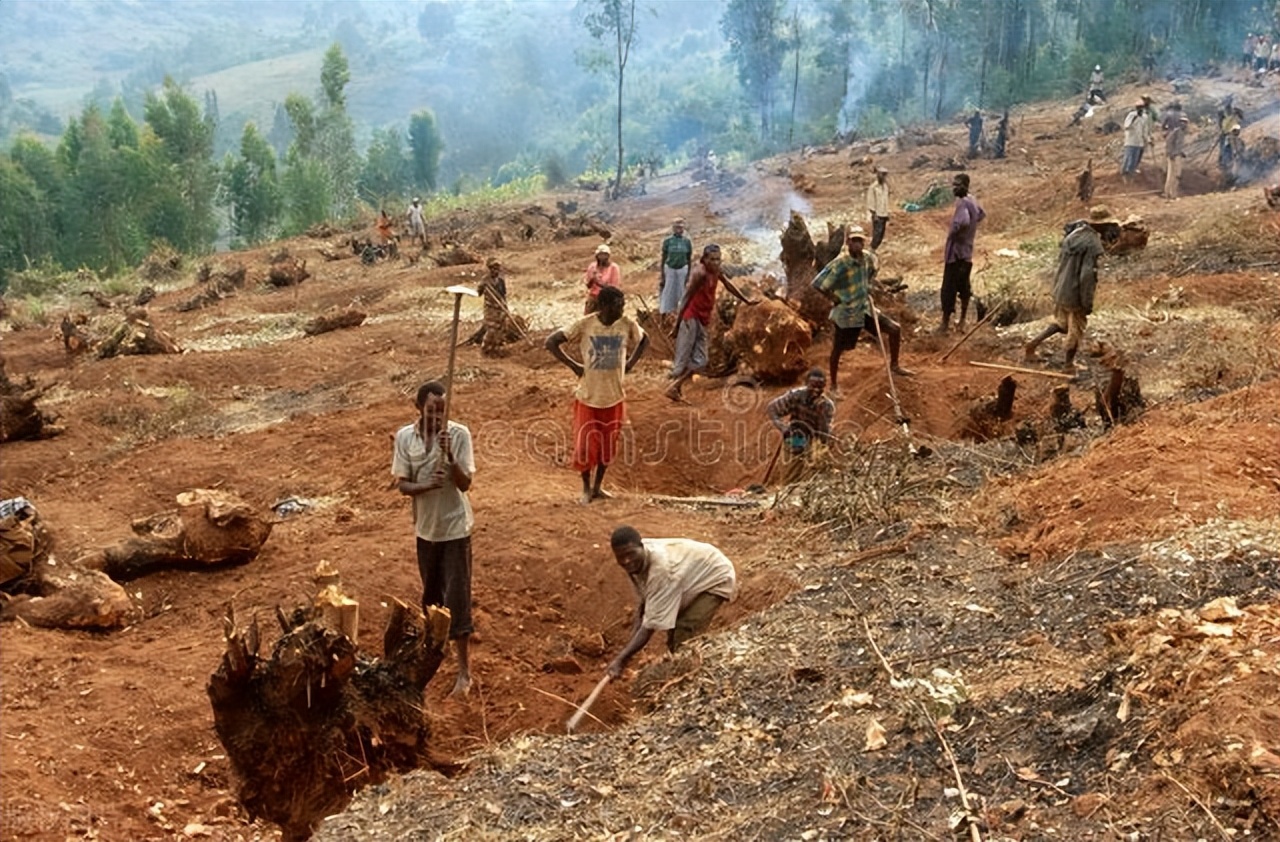 今天发生了什么重要的事,今天的股市到底发生了什么