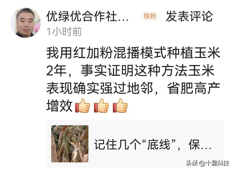 让一部分种子经销商“连升三级”,超越“同行”很容易