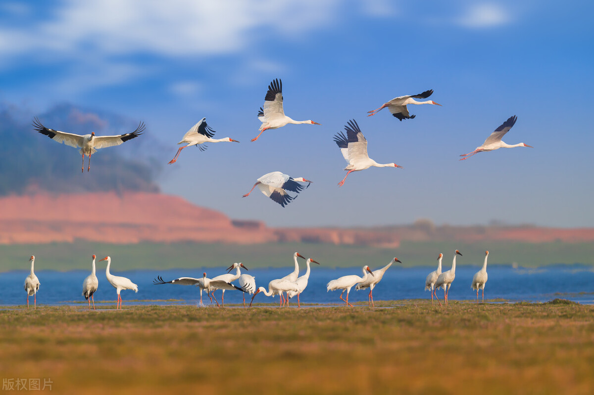 如何生个好孩子,如何生一个理想宝宝