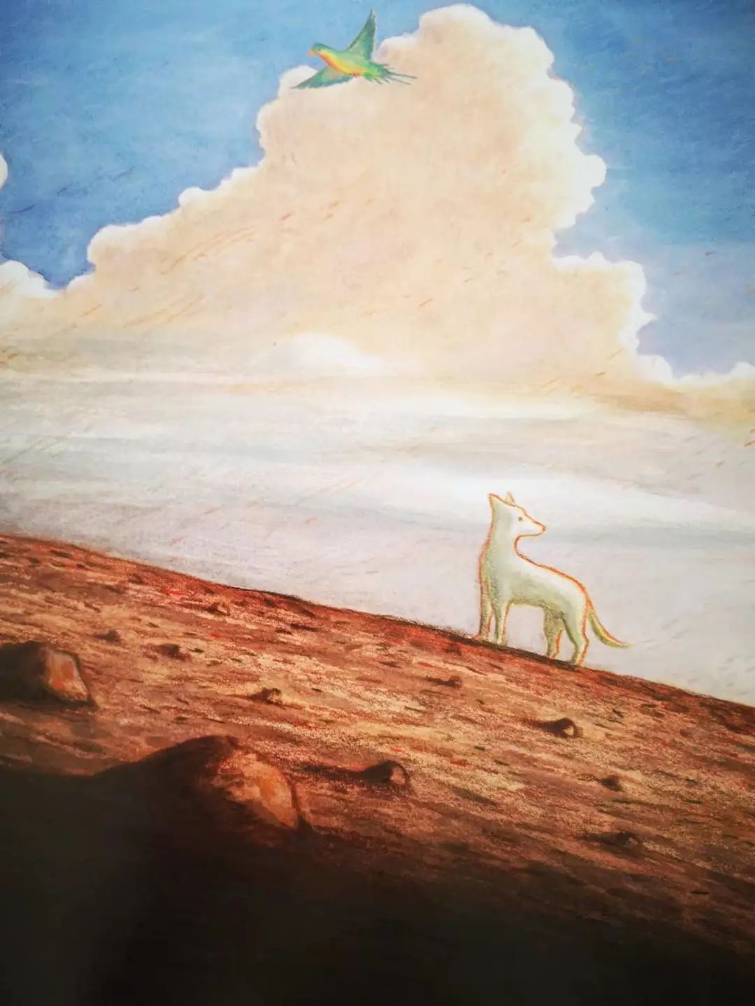 散步绘本,绘本治愈孩子也治愈自己