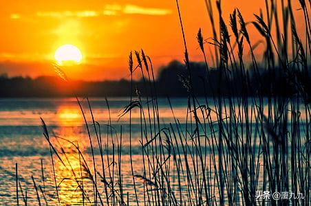 表达力太差？记住15个金句，快速提升表达力