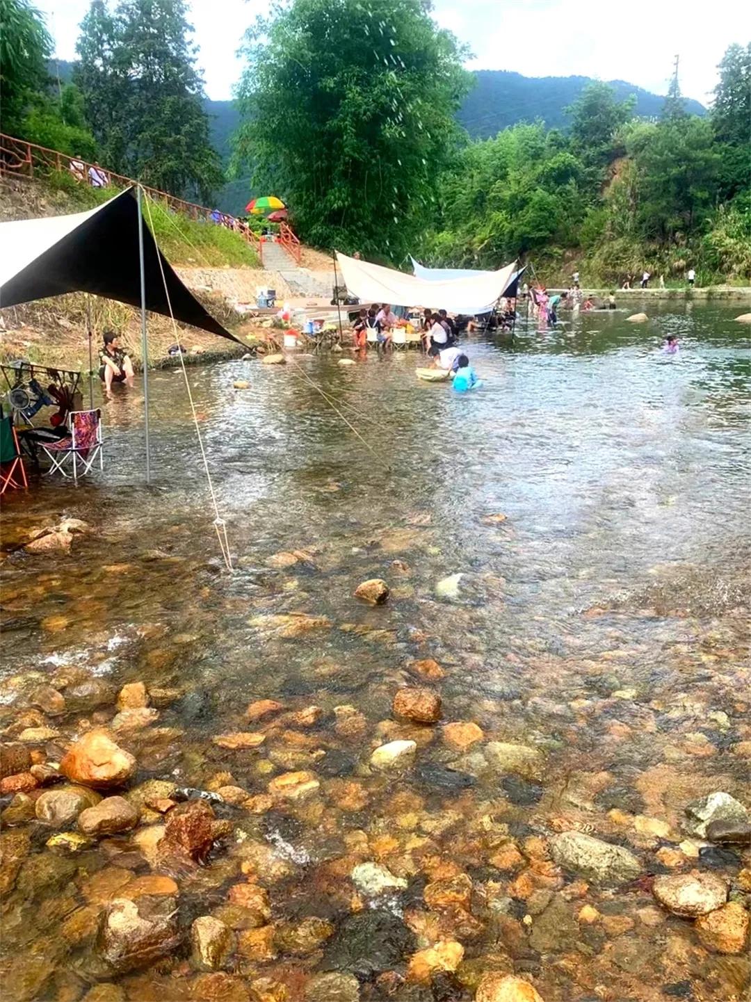 广州从化赏荷花胜地,从化草埔荷花