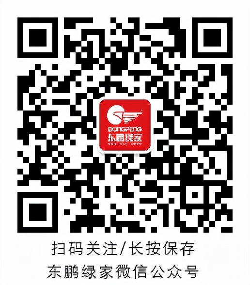 ​再破记录！超28万人围观的招商直播，到底魅力何在？