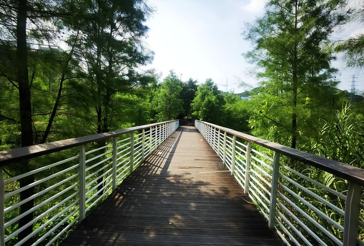 广州科技创新中轴线,广州科技中轴