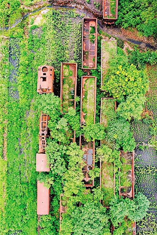 义煤新安矿大合唱,义煤最新事件