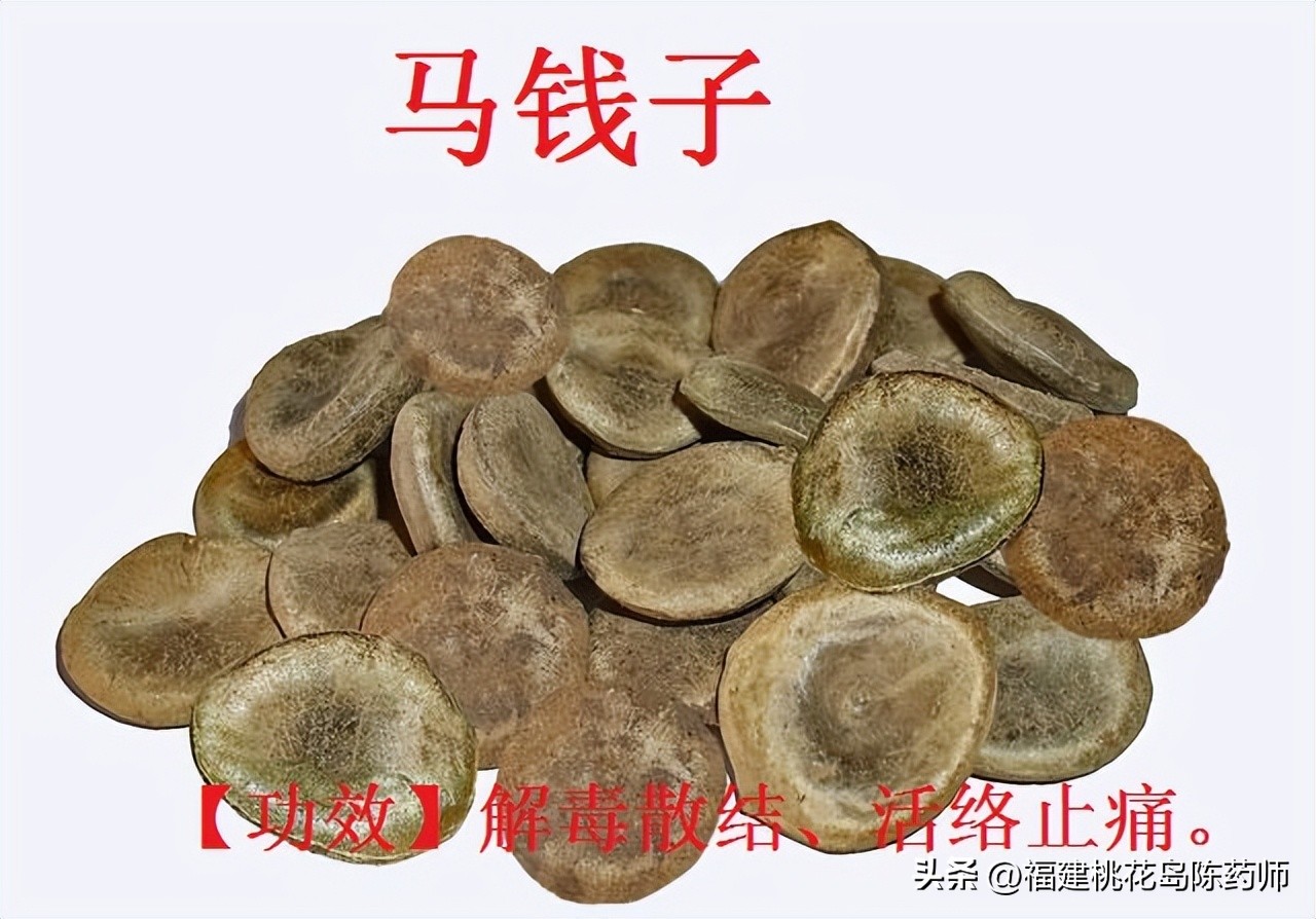 有毒的中药植物类药材,有毒的中药材