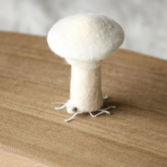 奇形怪状的羊毛毡,奇形怪状羊毛毡