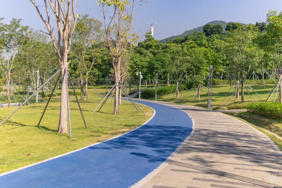 深圳九条最美绿道图片,深圳这10条绿道你去过没