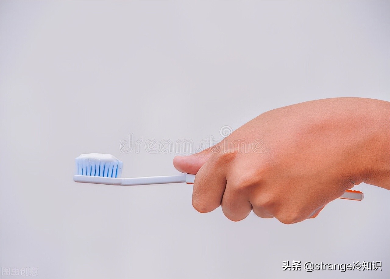 有关于鲸鱼的冷知识,关于鲸鱼的十个小知识