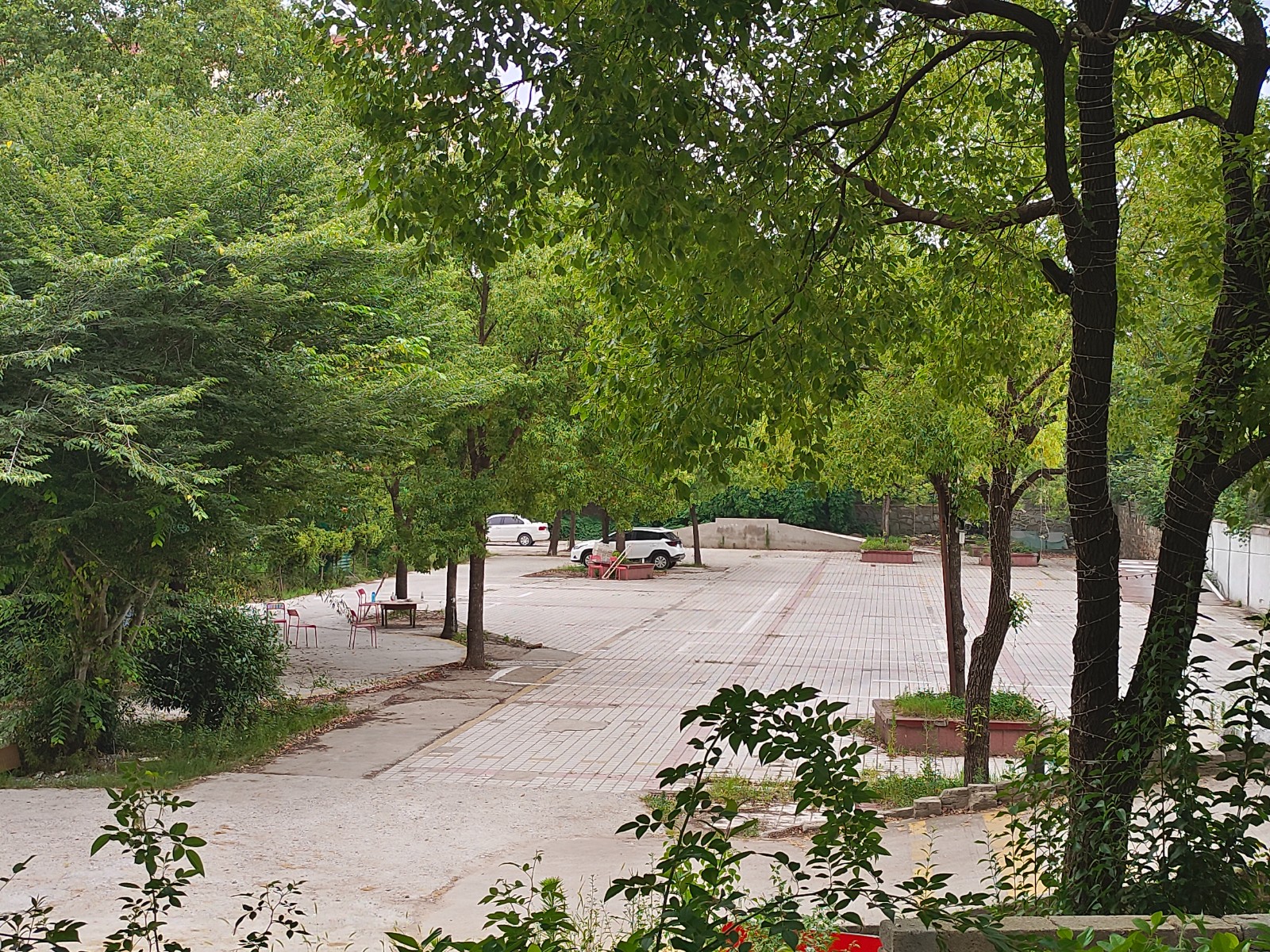 市民反映南阳一游园被驾校“占领”驾校喊冤：这是从小区租来的