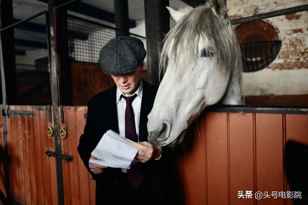 美剧浴血黑帮解说9.0以上评分,浴血黑帮第一季深度解析