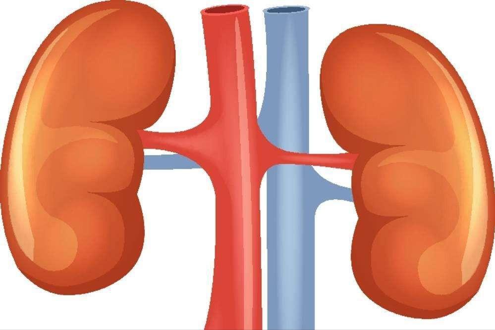 糖尿病肾病气阴两虚型食疗药膳,糖尿病肾病引起腹泻用什么中成药