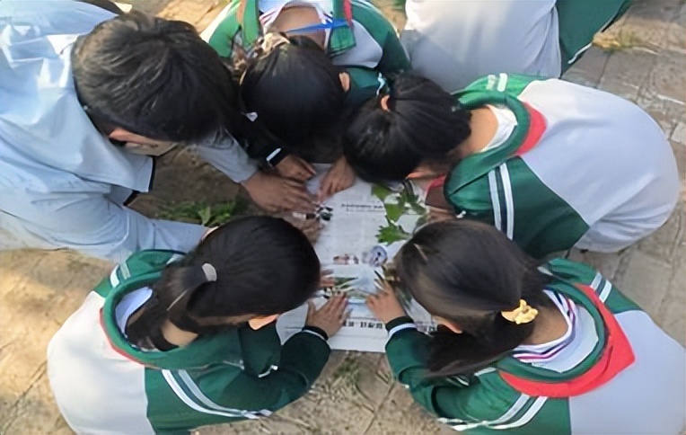 小学科学科普活动,热爱科学崇尚科学科普讲解