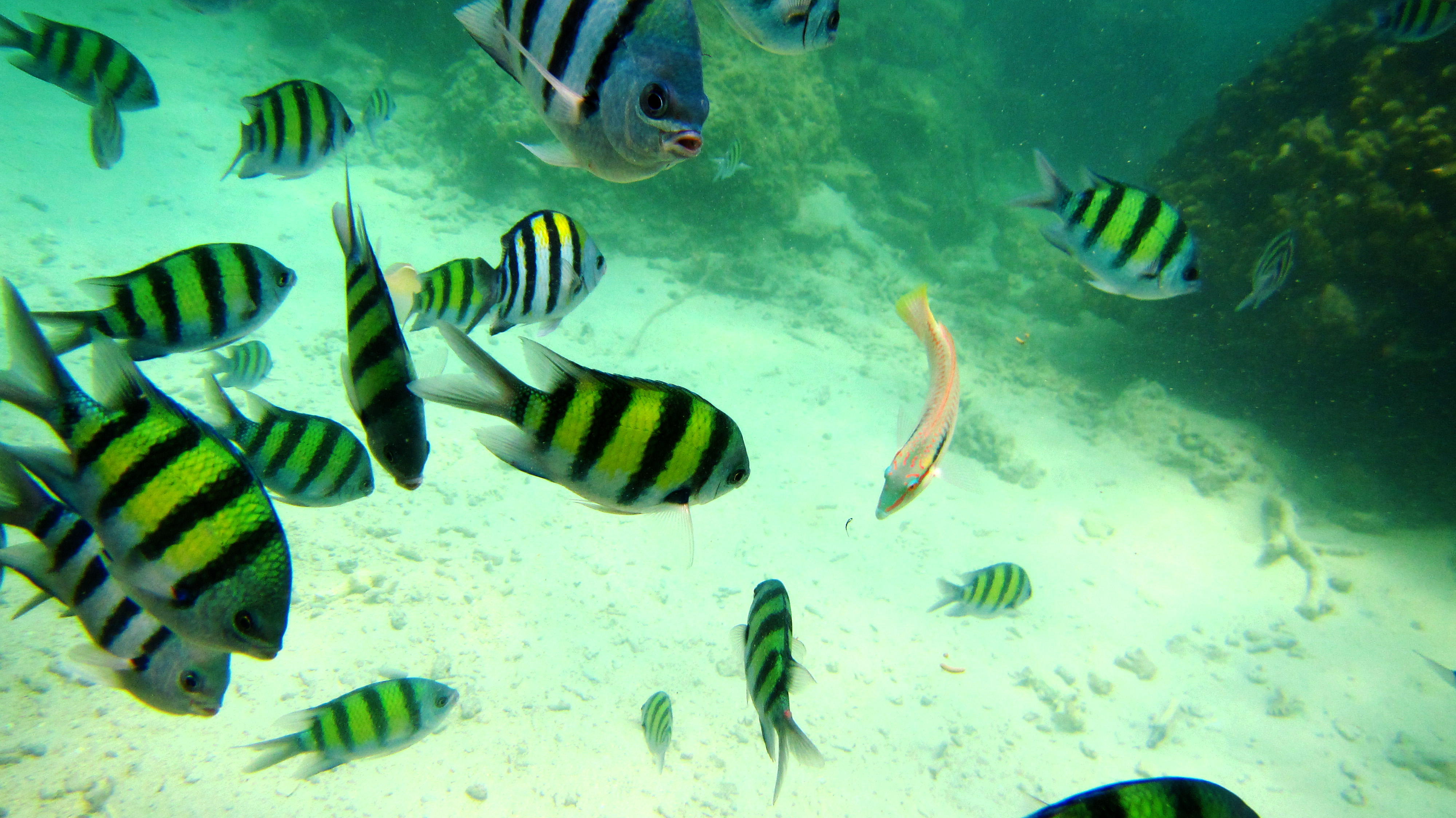 三亚和泰国哪个更适合旅游,三亚旅游和泰国旅游花费差多少钱